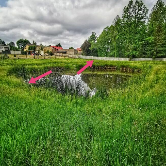 Koszenie KOSĄ SPALINOWĄ działek ogrodów wysokiej trawy