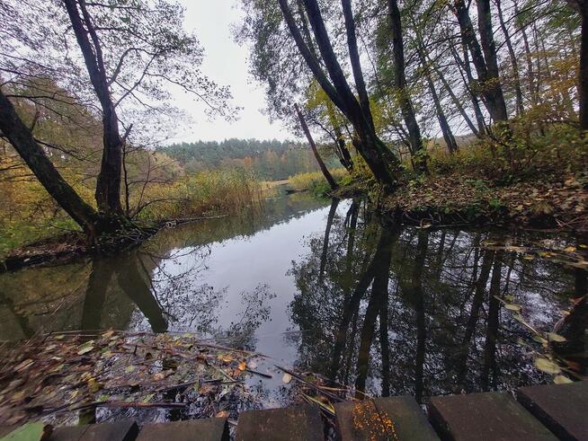 Przyjazń , może cos wiecej.