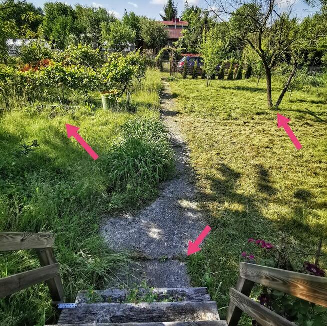 Koszenie KOSĄ SPALINOWĄ działek ogrodów wysokiej trawy