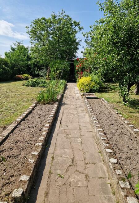 Sprzedam działkę ROD 580m w Janowcu Wielkopolskim