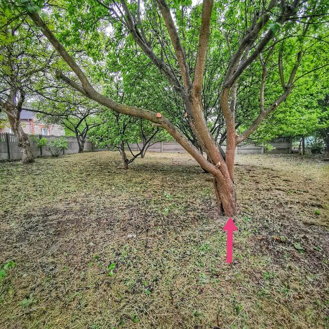 Koszenie KOSĄ SPALINOWĄ działek ogrodów wysokiej trawy