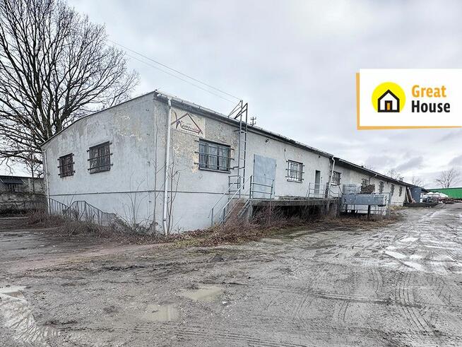 Lokal użytkowy Racibórz, Wiejska