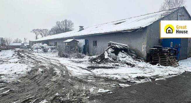Lokal użytkowy Racibórz, Wiejska