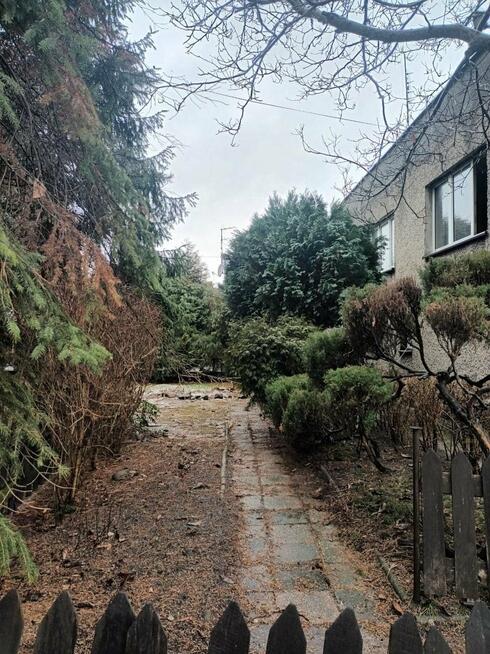 Lokal użytkowy Tychy Wilkowyje