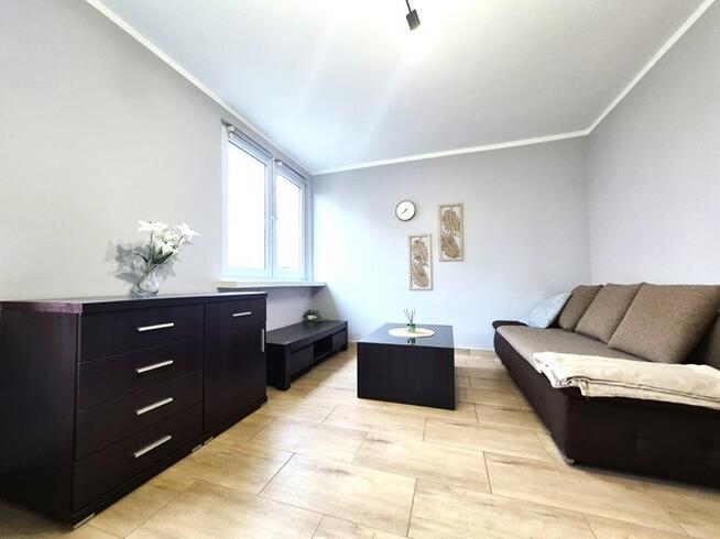 Wynajmę funkcjonalną kawalerkę, Pionierów 1D