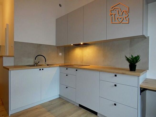 Wynajmę jasna kawalerka, pet friendly, Św. Kingi 3