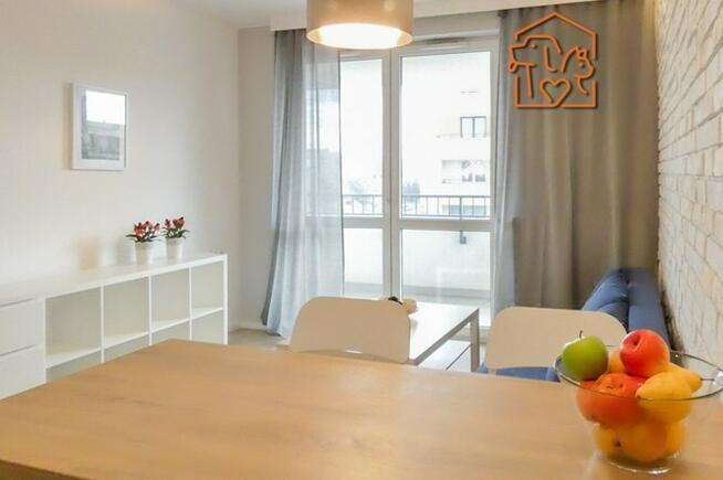 2 pokoje z balkonem, pet friendly, Osiedle Avia 1