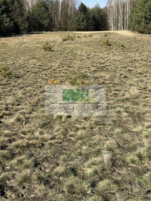 DO SPRZEDAŻY DZIAŁKA W JELNEJ OSIEDLE BORKI