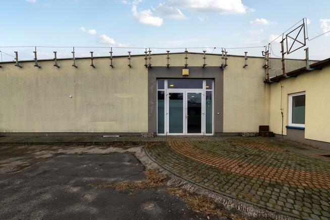 Lokal użytkowy Szczekociny