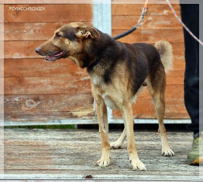 Forest – wystarczyła mu namiastka życia, żeby się zmienił