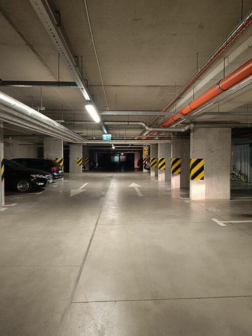 Wynajmę miejsce postojowe w hali, ul. Sowińskiego 27 |Poznań