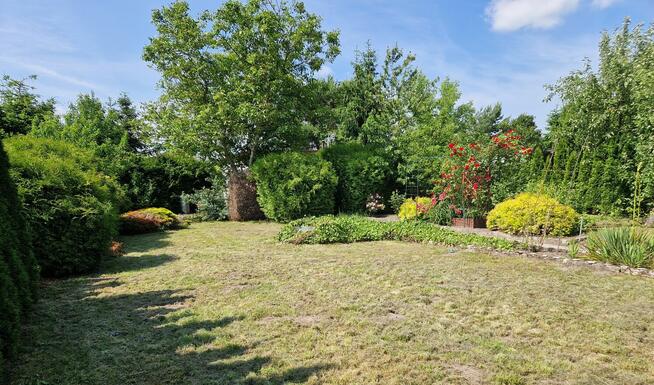 Sprzedam działkę ROD 580m w Janowcu Wielkopolskim