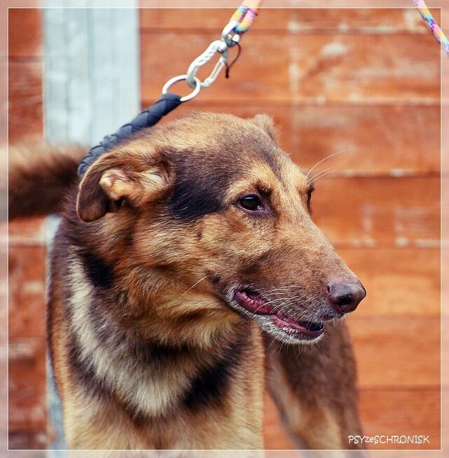 Forest – wystarczyła mu namiastka życia, żeby się zmienił