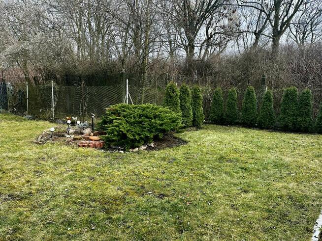 ogródek / działka ROD Wypoczynek