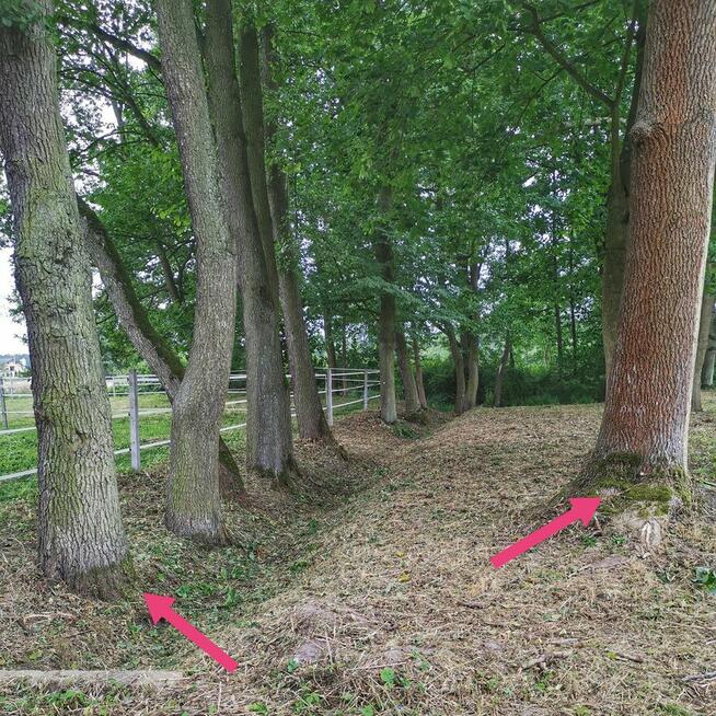 PORZĄDKOWANIE czyszczenie działek, posesji i ogrodów