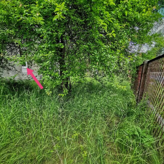 PORZĄDKOWANIE czyszczenie działek, posesji i ogrodów