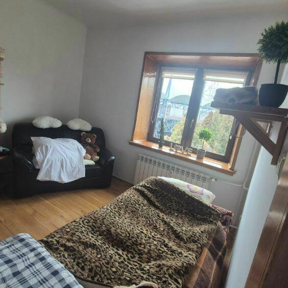 mieszkanie Ostrowiec Świętokrzyski Traugutta