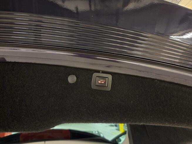 Opel Insignia, polski salon