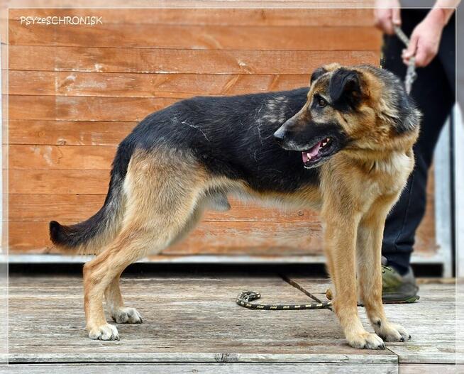 Orson – czy można mieć z życia coś więcej niż podwórze?