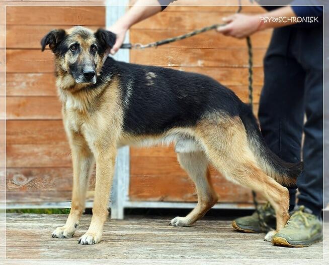 Orson – czy można mieć z życia coś więcej niż podwórze?