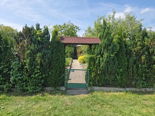 Sprzedam działkę ROD 580m w Janowcu Wielkopolskim