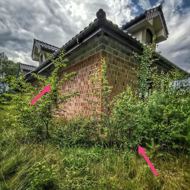 Koszenie KOSĄ SPALINOWĄ działek ogrodów wysokiej trawy