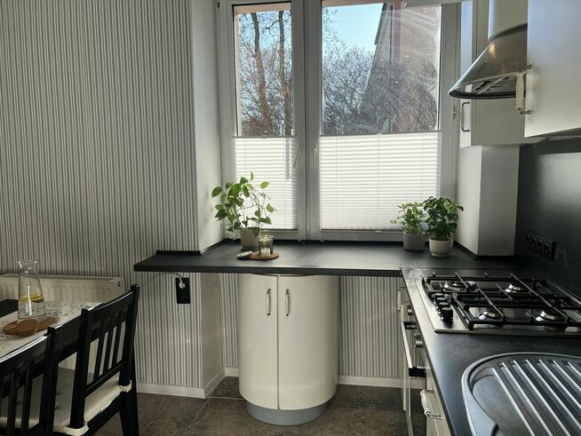 DO WYNAJĘCIA MIESZKANIE 33M2 PARTER W CWNTRUM PŁOCKA