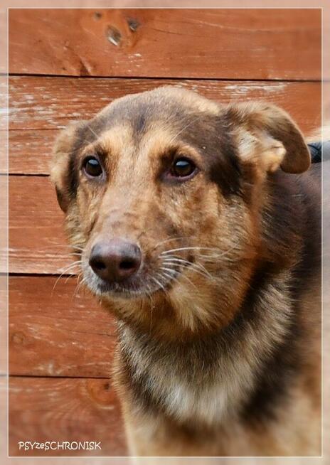 Forest – wystarczyła mu namiastka życia, żeby się zmienił