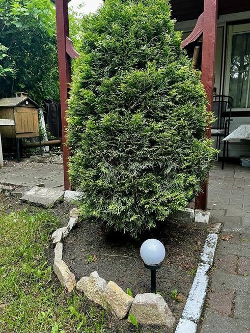 ogródek / działka ROD Wypoczynek