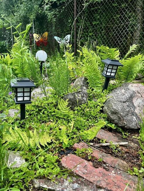 ogródek / działka ROD Wypoczynek