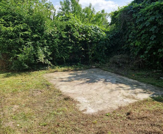 Sprzedam działkę ROD 580m w Janowcu Wielkopolskim