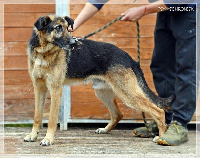 Orson – czy można mieć z życia coś więcej niż podwórze?