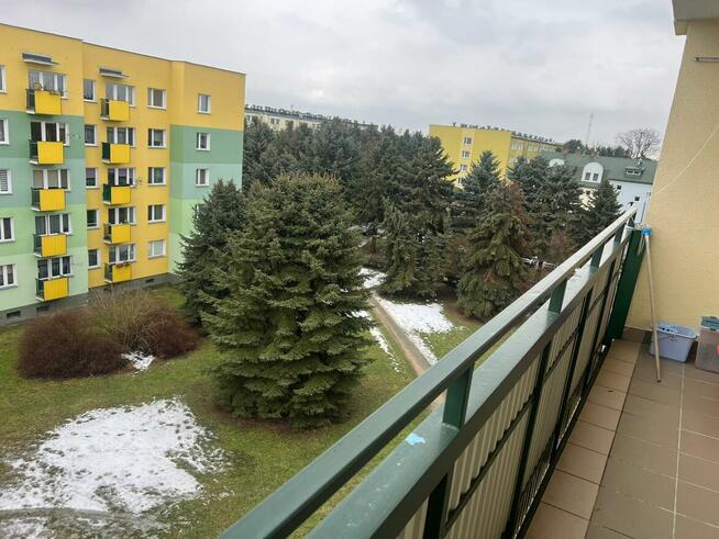 Sprzedam mieszkanie w Łecznej