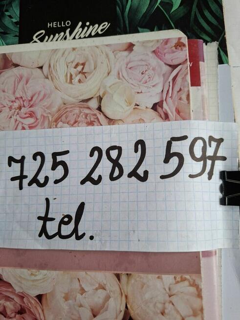 Sprzedam młode króliki mieszańce młodzież