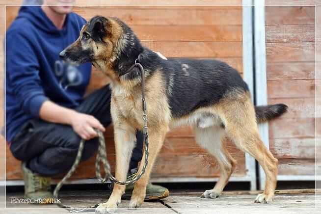 Orson – czy można mieć z życia coś więcej niż podwórze?