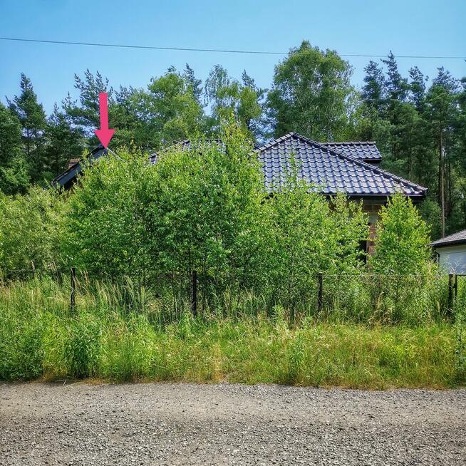 PORZĄDKOWANIE czyszczenie działek, posesji i ogrodów