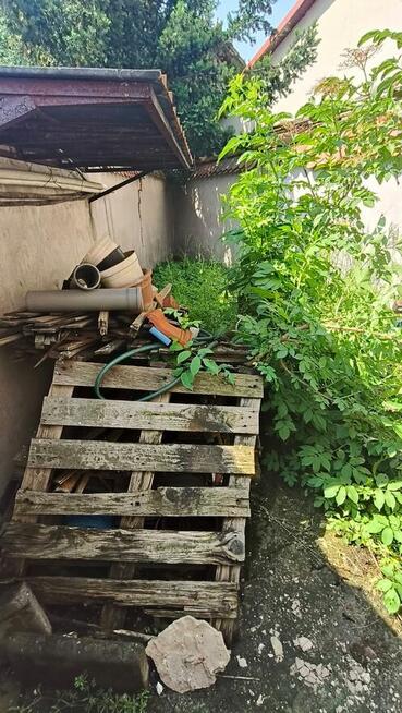 Prace ogrodowe i porządki po zimie – (Kraków i okolice)