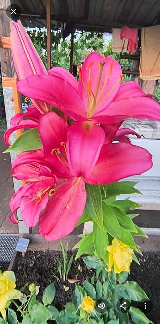 Sprzedam prawa do dzialki