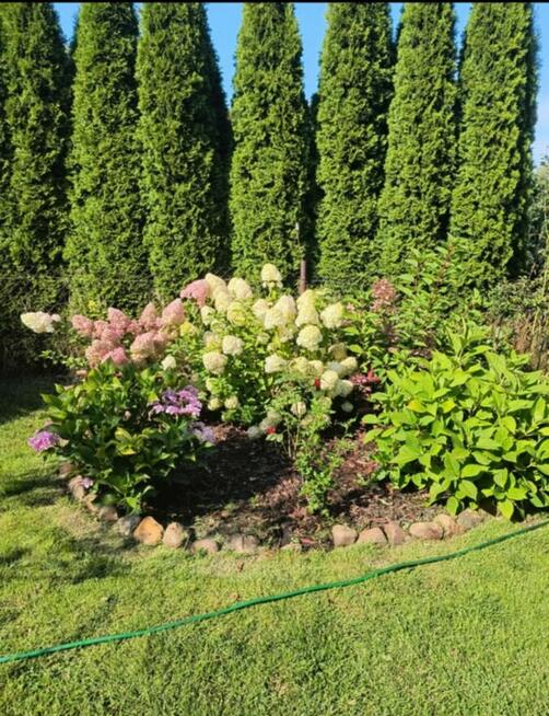 Sprzedam prawa do dzialki