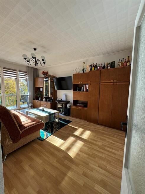 Tychy Czarnieckiego duże 3 pokoje z widokiem na park