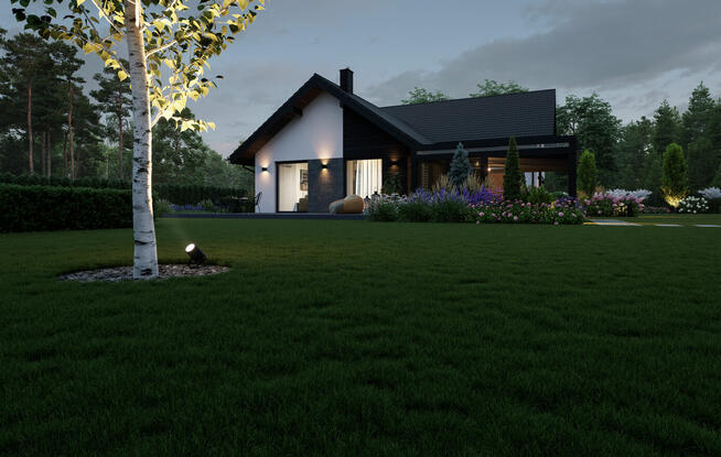 Wizualizacje architektoniczne / elewacje / online