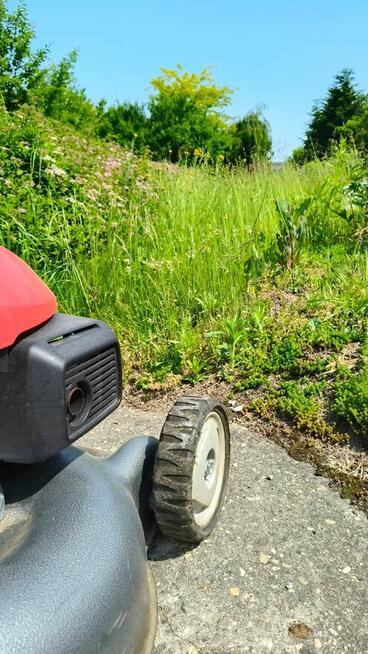 Prace ogrodowe i porządki po zimie – (Kraków i okolice)