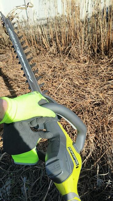 Prace ogrodowe i porządki po zimie – (Kraków i okolice)