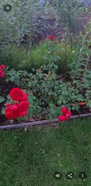 Sprzedam prawa do dzialki