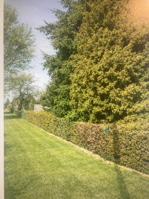 Piękna Działka rekreacyjna ROD Bartek murowany domek