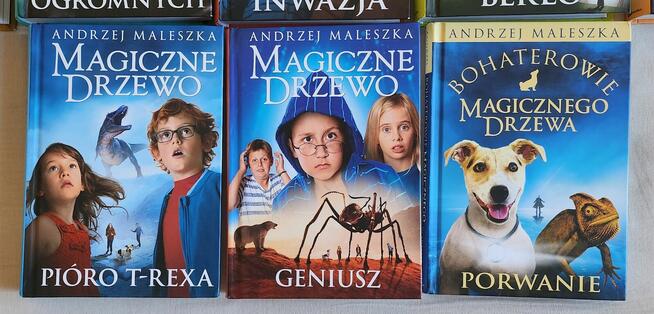 Magiczne drzewo komplet 12 + 1 Andrzej Maleszka