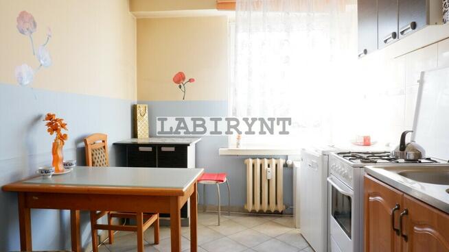 M-2 / M-3, 36m2, ul. Zana, duża kuchnia, winda