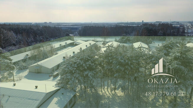 Działka inwestycyjna Wysoka Głogowska gm. Głogów Małopolski,