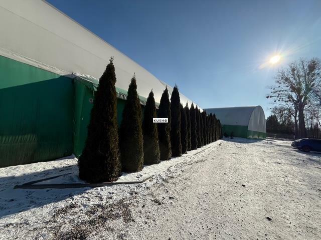 Lokal użytkowy Nadarzyn