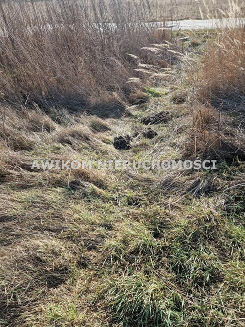 Działka budowlana Jaktorów Jaktorów